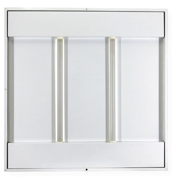 lightstar202